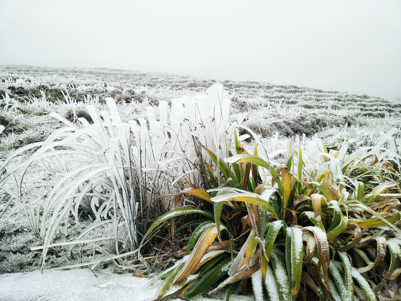 1512113497697227.jpg 1512113497697227.jpg