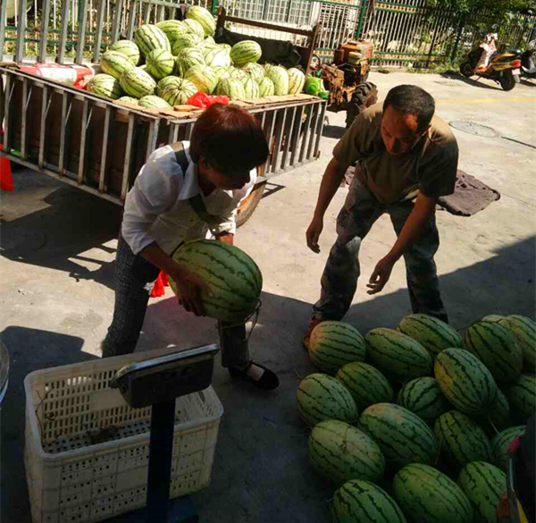 1499908219100199.jpg 微信圖片_20170712142816_副本.jpg